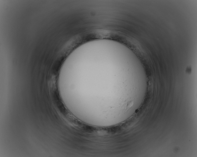 X0000093380598200710111349