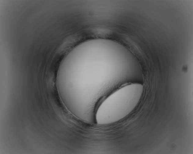 X0000093380599200710111349