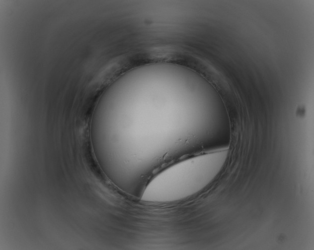 X0000093380601200710111349