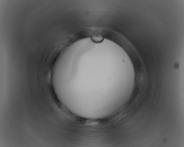 X0000093380602200710111349