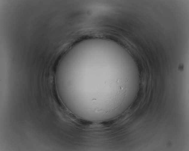 X0000093380603200710111349