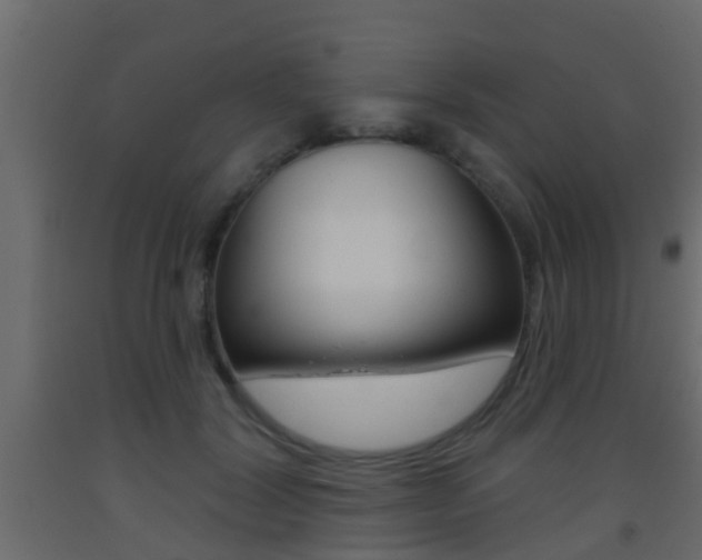 X0000093380604200710111349