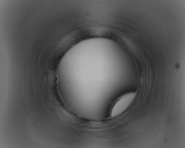 X0000093380605200710111349