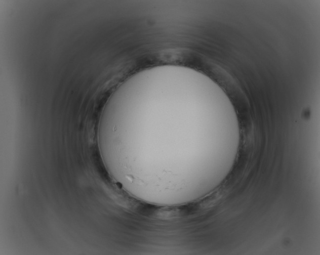 X0000093380606200710111349