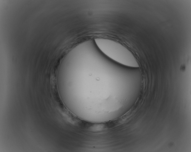 X0000093380609200710111349