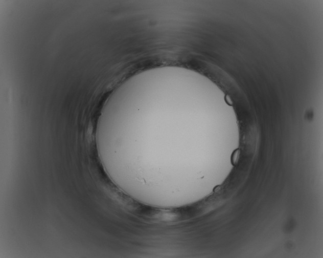 X0000093380610200710111349