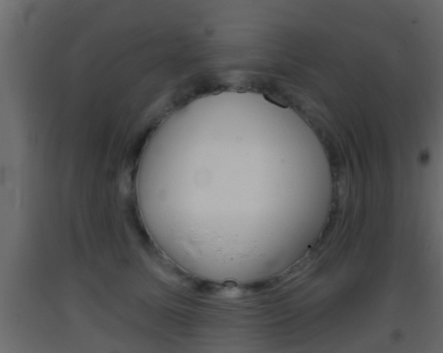 X0000093380611200710111349