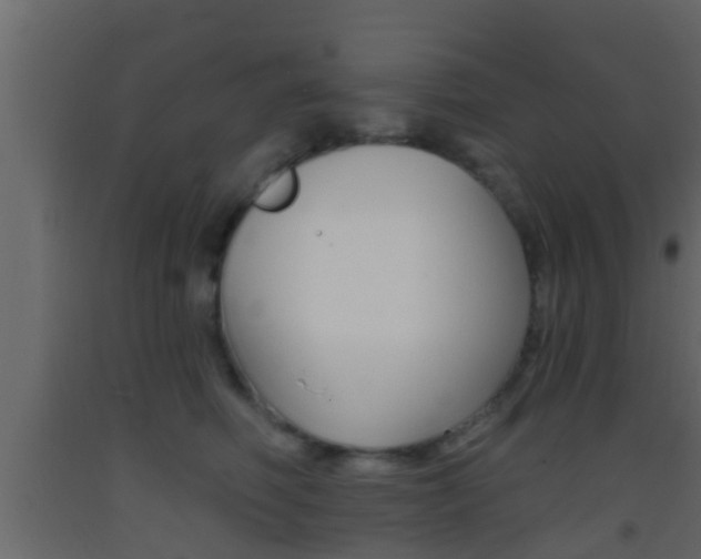 X0000093380614200710111349