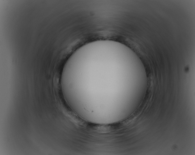 X0000093380615200710111349