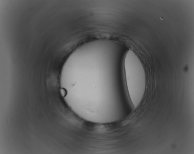 X0000093380616200710111348