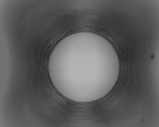 X0000093380617200710111348