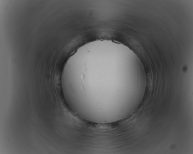 X0000093380619200710111348