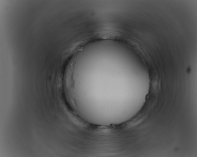 X0000093380620200710111348