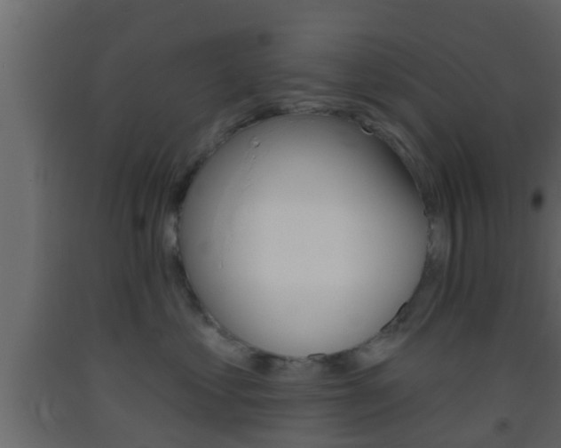 X0000093380621200710111348