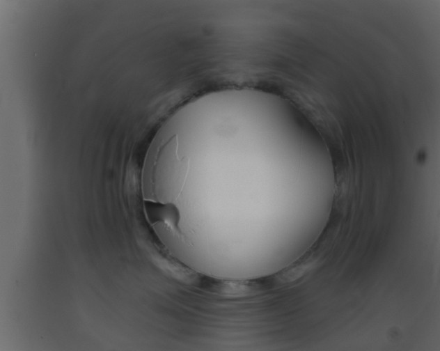 X0000093380623200710111348