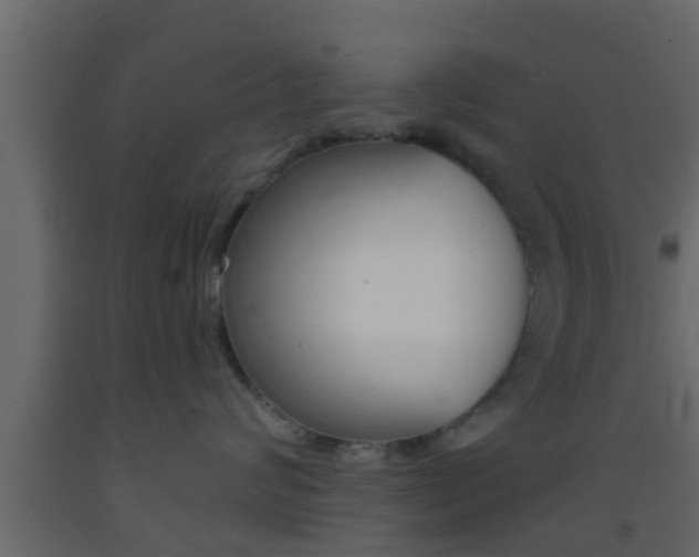 X0000093380624200710111348
