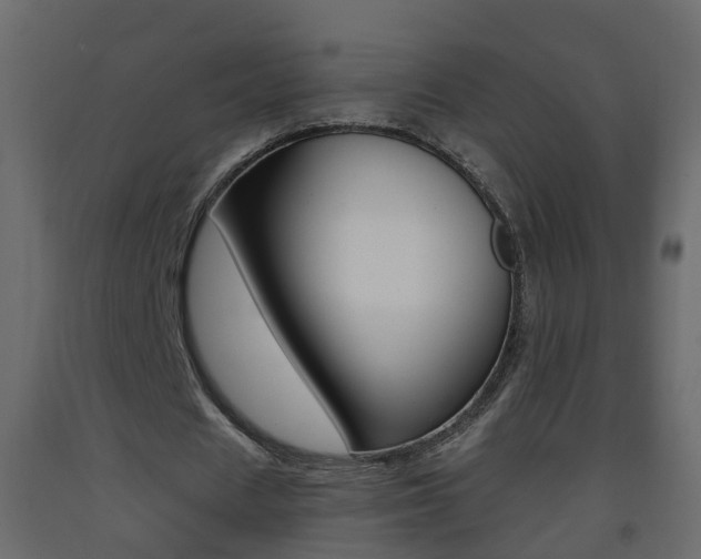 X0000093380625200710111348