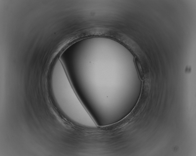 X0000093380626200710111348