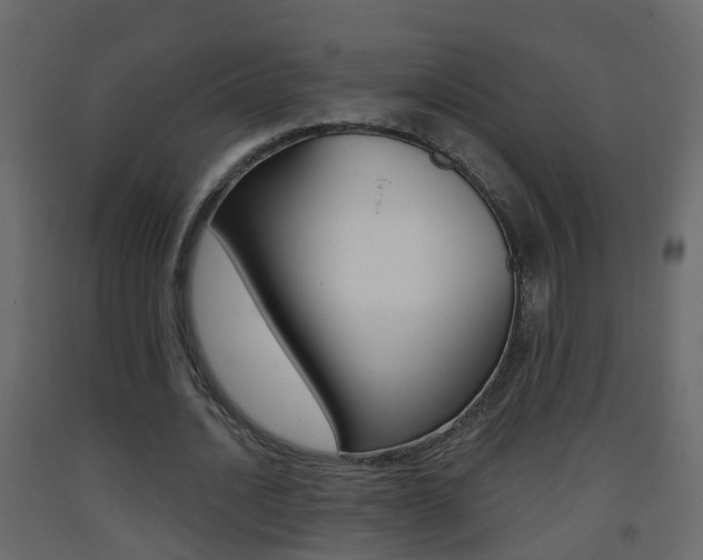 X0000093380628200710111348