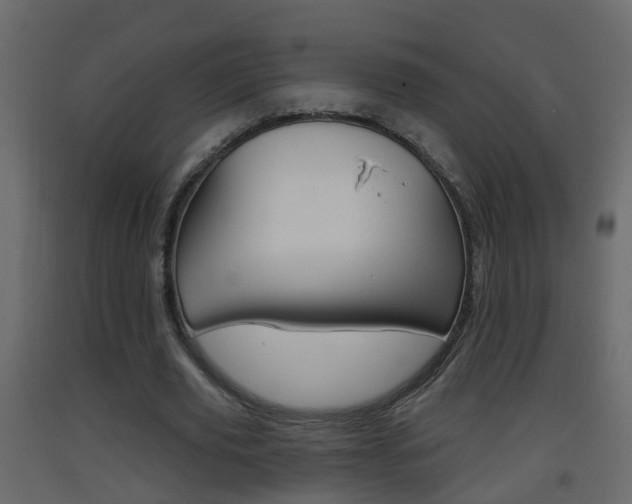 X0000093380629200710111348