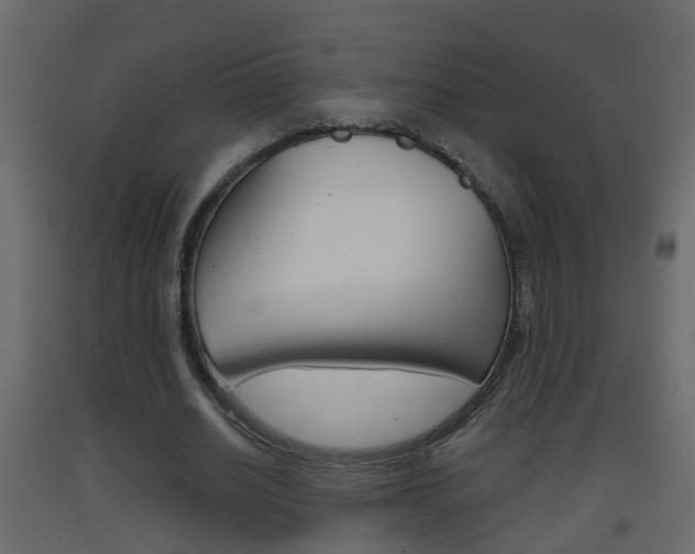 X0000093380630200710111348