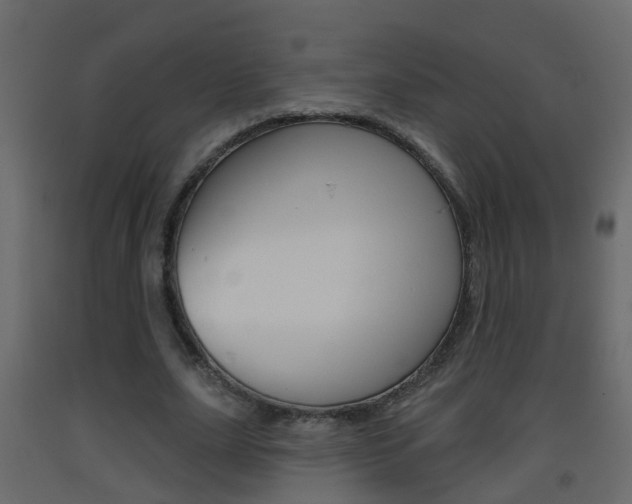 X0000093380631200710111348