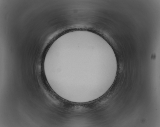 X0000093380632200710111348