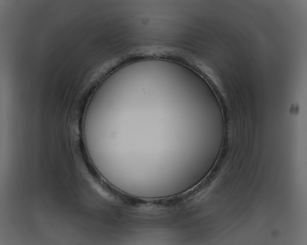 X0000093380633200710111348