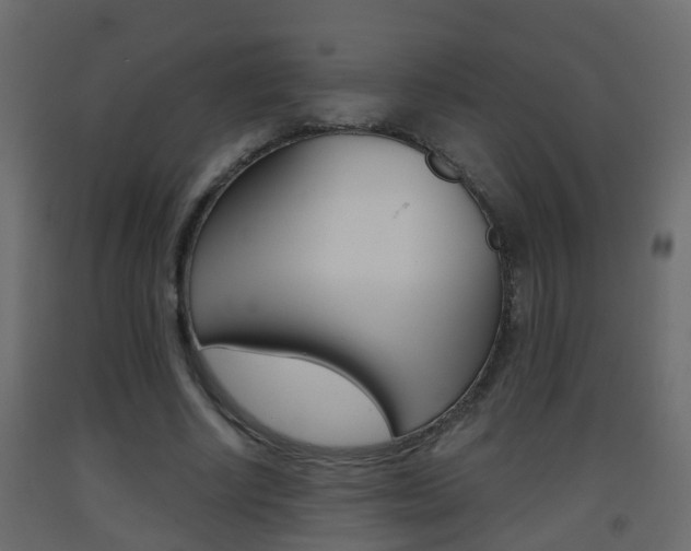 X0000093380634200710111348