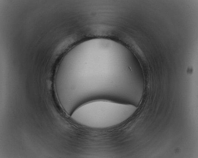 X0000093380635200710111348