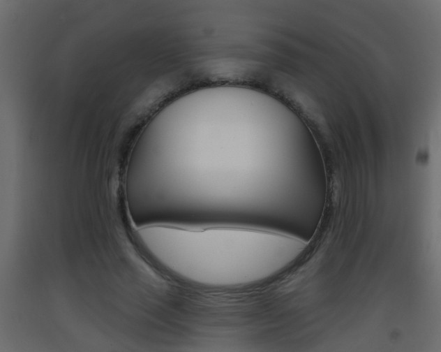 X0000093380637200710111348