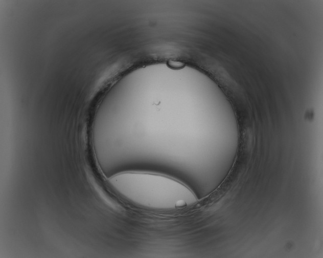 X0000093380638200710111348