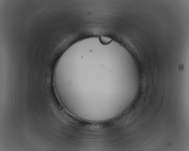 X0000093380639200710111348