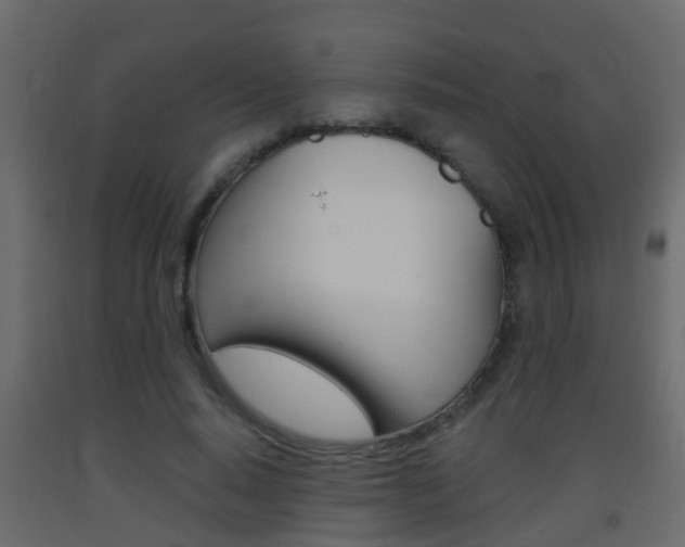 X0000093380640200710111348