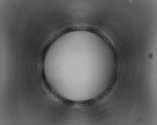 X0000093380641200710111348