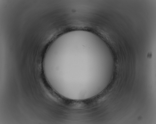 X0000093380642200710111348