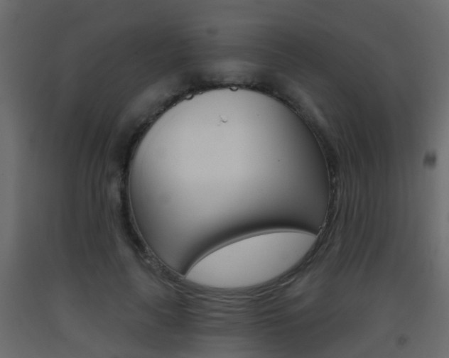 X0000093380643200710111348