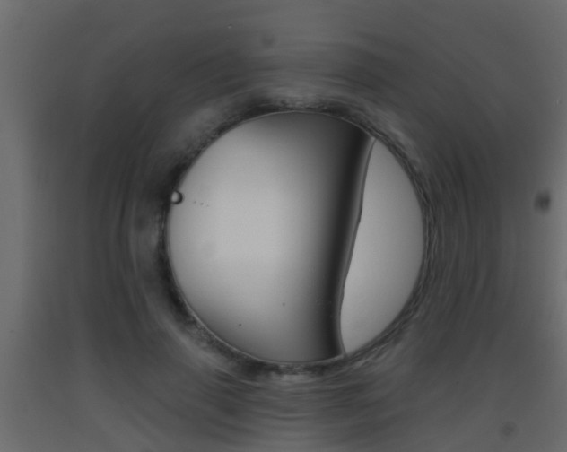 X0000093380645200710111348