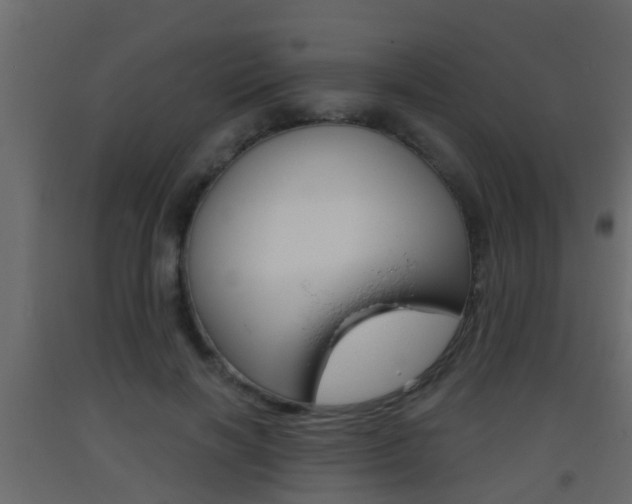 X0000093380646200710111348