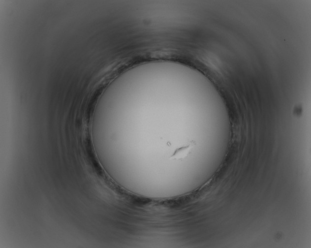 X0000093380648200710111348