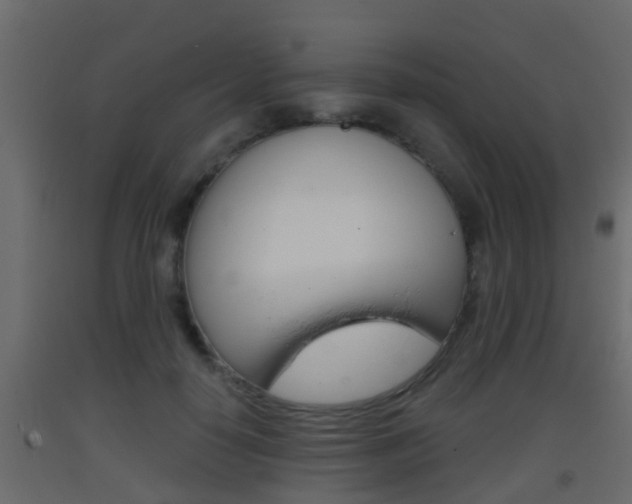 X0000093380650200710111348