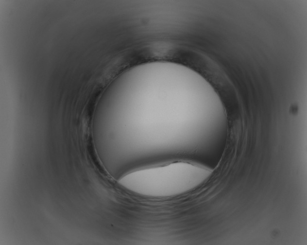 X0000093380651200710111348