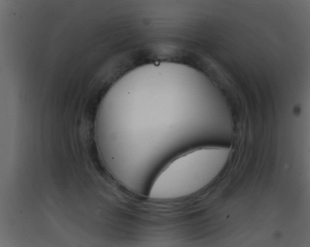 X0000093380653200710111348