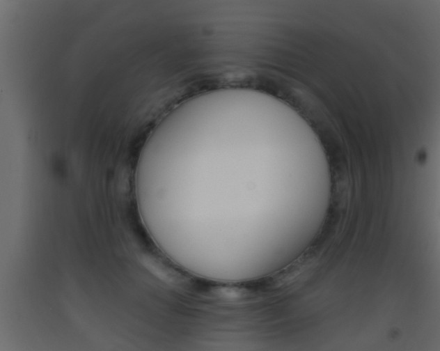 X0000093380654200710111348