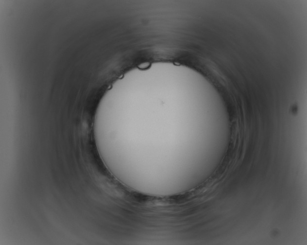 X0000093380655200710111348