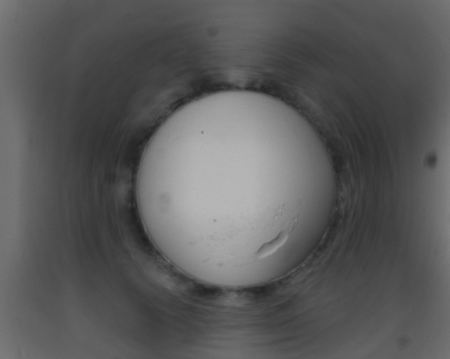 X0000093380656200710111348