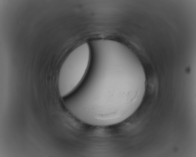 X0000093380657200710111348