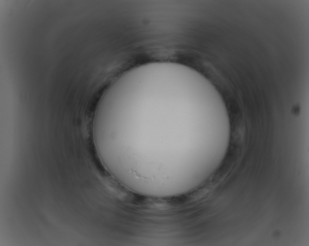 X0000093380658200710111348