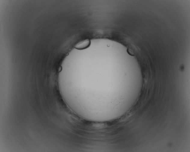 X0000093380659200710111348
