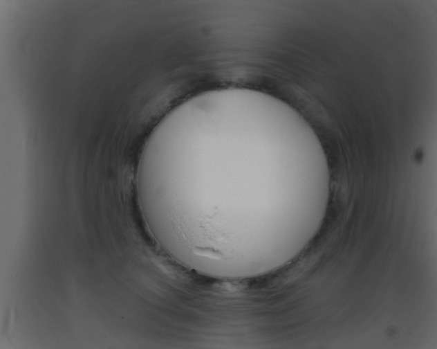 X0000093380660200710111348